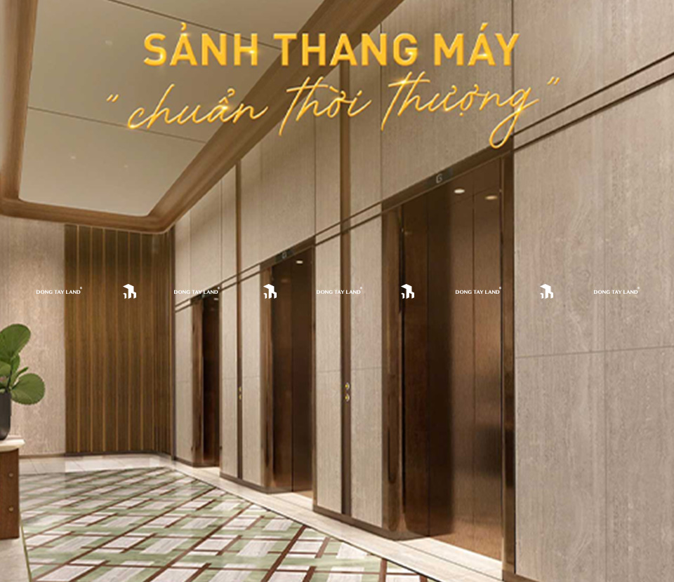 sanh-thanh-may-1